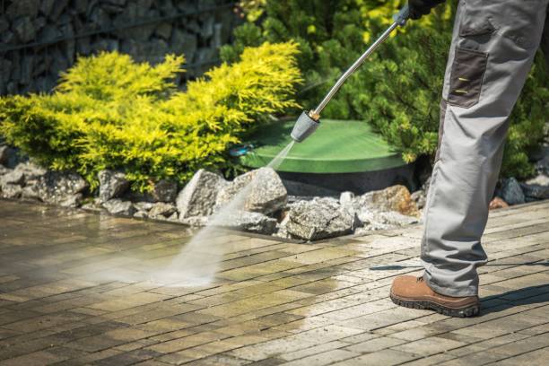 Trusted Minorca, LA Pressure Washing Services Experts
